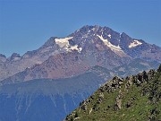 Bocchetta di Budria-Monte Azzaredo ad anello fiorito-10lu22 - FOTOGALLERY